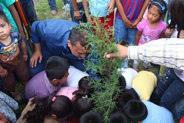 Avanza programa de reforestación en zonas rurales poblanas